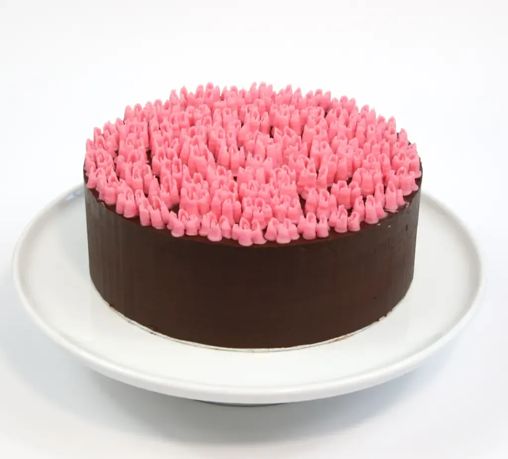 Chocolate caramel cake